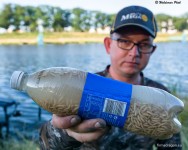 Robaki topię w plastikowej butelce po napoju, którą napełniam wodą z sporym dodatkiem melasy.