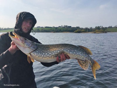 Dawid zerknął w moje pudełko i od razu sięgnął po żółtego Bandita, po chwili trzasnął grubą dziewięćdziesiątkę!