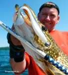 Offshore Jig c.w. 80 – 250 g to mocne wędzisko z rodziny Boat Master stworzone do łowienia w morzu, oferowane w 3 modelach: 2,30 m, 2,45 m, 2,60 m. Posiada bardzo mocne przelotki, wygodną rękojeść i odpowiedniej długości dolnik przystosowany do wpięcia w pas podczas mozolnego holowania. Blank wytrzymuje duże przeciążenia i posiada bardzo duży zapas mocy, a jednocześnie część szczytowa umożliwia zarzucanie i prowadzenia przynęt lżejszych od dolnego c.w., czyli poniżej 80 g. Wędzisko doskonale nadaje się do użycia w trollingu jeziorowym przy użyciu dużych woblerów i gum. Umożliwia trollingowanie z użyciem planera. W przypadku łowienia szczupaka jest w stanie wyholować każdy okaz żyjący w europejskich wodach.