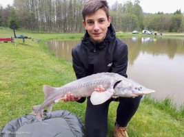 Po krótkim czasie oczekiwania na pierwsze ryby, ja złowiłem pierwszego jesiotra, a tuż po mnie Filip lądował jesiotra o wadze ok. 4 kg. Po tych dwóch pierwszych „pinokiach” wiedzieliśmy, że łowisko i rybki mogą być w tym dniu dla nas łaskawe.
