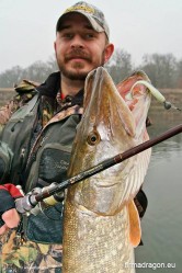  Autor z rzecznym szczupakiem złowiony na ripper Dragon V-Lures uzbrojoną główką Dragon V-Point.