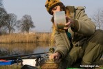 Bardzo prostym sposobem jest przesianie ich przez małe sitko np. do ochotki. W ten sposób wszystkie zanieczyszczenia zostaną usunięte. Przesiane robaki umieszczamy w czystym pudełku. Oczyszczone robaki służą za przynętę oraz dodatek do namoczonej zanęty, po wcześniejszym ich sparzeniu. Należy pamiętać o doborze średnicy oczek sitka by zapobiec wypadaniu robaków podczas ich przesiewania.