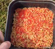 Po przesianiu robaków oddzielając je trocin lub suchej zanęty można je przesypać na nowo atraktorem lub innym komponentem. Pieczywko, które użyłam powoduje, że robaki zachowają swój naturalny zapach, a w razie konieczności mogę do nich dodać atraktor. Zabezpieczamy również w ten sposób naszą przynętę od niepożądanej ucieczki z pudełka w tracie wędkowania.