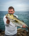 Bluefish