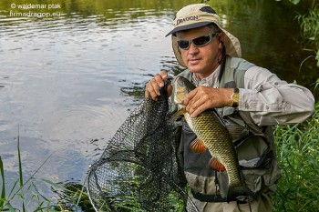 Na zdjęciu przedstawiam Sławka Kubasiewicza, trenera kadry narodowej spinningowej, w chwili wypinania z przynęty ładnego klenia złowionego właśnie w sposób przeze mnie opisany. Muszę dodać, że Sławek jest mistrzem właśnie takiego łowienia kleni. Sławek miał stanowisko na brzegu, dopiero w chwili podbierania klenia pofatygował się do wody.