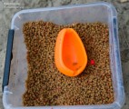 Jeśli sytuacja na łowisku tego wymaga, przygotowuję mieszankę pelletów do koszyczka.
