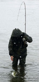 fot. Tylko dobrej jakości kijek pozwala na takie podprowadzenie ryby – sandacz o wadze prawie 8 kg. Mój kolega używa spinningu Team Dragon o c.w. 10-42 g. Znakomicie spisuje się w dużej rzece.