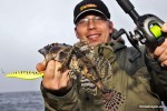 Po chwili Piotr łowi pięknego, nastroszonego diabła morskiego. Tym razem w akcji jest pilker Baltic i kołowrotek Team Dragon Big Bait MF250iL do jerków. Na kołowrotku plecionka Mustad, agrafka z krętlikiem Dragona wykonana ze szwedzkiej stali.