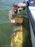Mój goliat 400 lbs